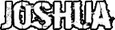 Joshua's Resume Site